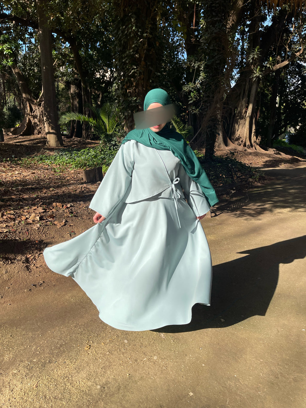 ENSEMBLE NIHED