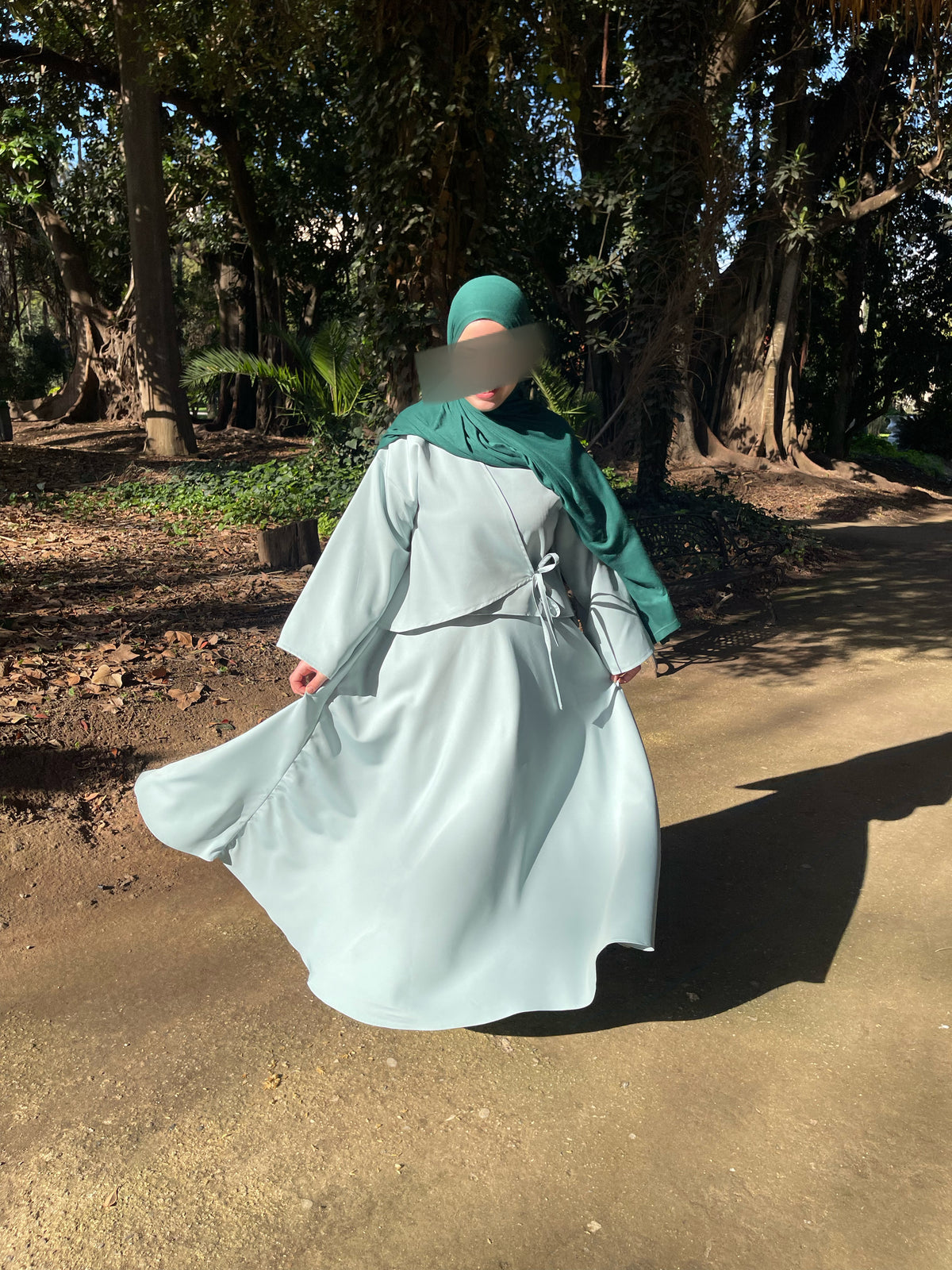 ENSEMBLE NIHED